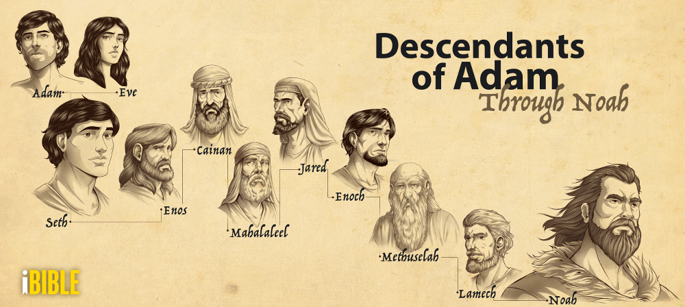 Descendants of Adam Through Noah